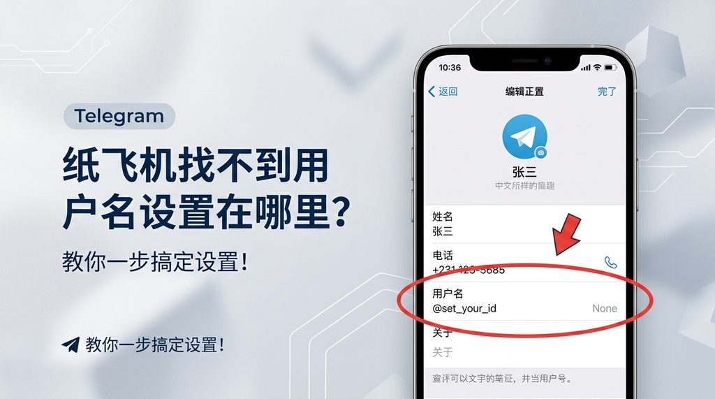 纸飞机手机端设置界面中“编辑个人资料”页面的截图，用红色圆圈标注出“用户名”输入框的位置